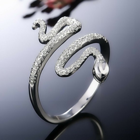 Jewelry - NWOT Silver Snake Ring